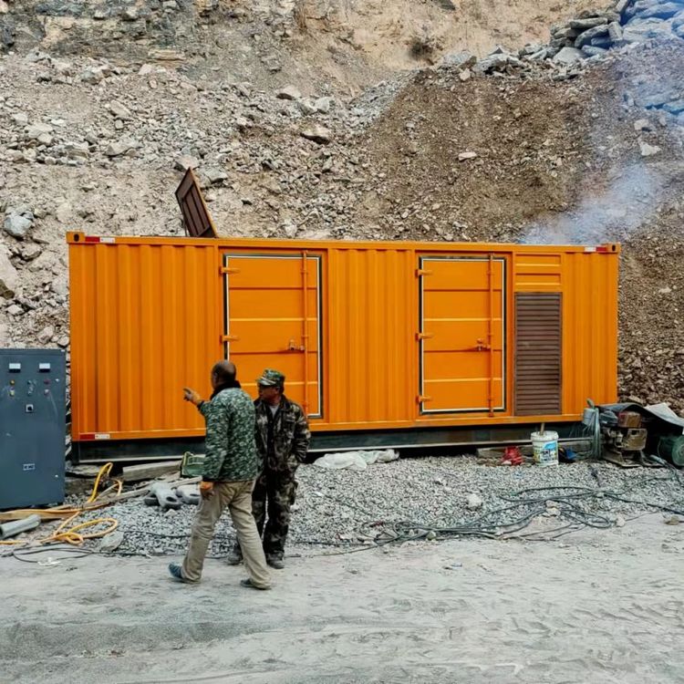 彭水如何选择适合自己的 800KW 柴油发电机组？